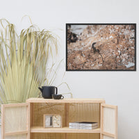 Lizard Rock Colorized Wildlife Photograph Framed Wall Art Prints