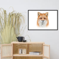 Young Red Fox Face On White Animal Wildlife Nature Framed Wall Art Prints