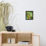 Dragonfly at Bombay Hook Animal Wildlife Photograph Framed Wall Art Prints