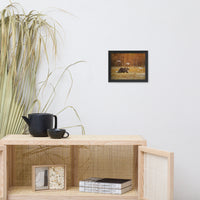 Big Brown Bear Crossing The Marshlands Wildlife Photo Framed Wall Art Prints