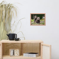Baby Brown Bear Cubs In Forest Wildlife Photo Framed Wall Art Print