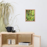 Dragonfly Wildlife Photo Framed Wall Art Prints
