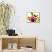 Happy Red Eyed Tree Frog Sitting on Purple Tulip Flower Bloom Wildlife Nature Photo Framed Wall Art Print