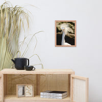 Snowy Egret Animal Wildlife Photograph Framed Wall Art Prints