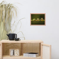 Three Tiny Green Red Eyed Tree Frog on Bamboo Animal Wildlife Photograph Framed Wall Art Prints