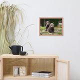 Baby Brown Bear Cubs In Forest Wildlife Photo Framed Wall Art Print