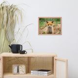 Baby Red Fox Coming Out Wildlife Photo Framed Wall Art Prints