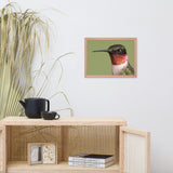 Close-up Ruby-throated Hummingbird Animal Wildlife Photograph Framed Wall Art Prints