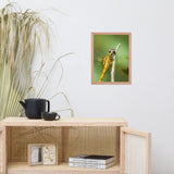 Dragonfly at Bombay Hook Animal Wildlife Photograph Framed Wall Art Prints