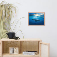 Dreamy Blue Whale Ocean Sunset Glory Rays Animal Wildlife Photograph Framed Wall Art Print