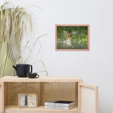 Flying Turquoise Blue and Orange Common Kingfisher Bird With Fish Animal Wildlife Photograph Framed Wall Art Prints