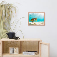 Hawaiian Green Sea Turtle In Turquoise Blue Sea and Sandbars Animal Wildlife Photograph Framed Wall Art Print