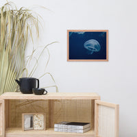 Small Blue Jelly Animal Wildlife Photograph Framed Wall Art Prints