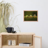 Three Tiny Green Red Eyed Tree Frog on Bamboo Animal Wildlife Photograph Framed Wall Art Prints