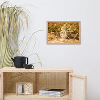 Burrowing Owl in Golden Light Wildlife Nature Photo Framed Wall Art Prints