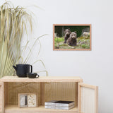 Baby Brown Bear Cubs In Forest Wildlife Photo Framed Wall Art Print