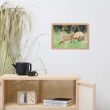 Baby Red Foxes Head Held High Animal Wildlife Photograph Framed Wall Art Prints