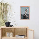 Bob The Pelican Bird 3 Colorized Wildlife Photo Framed Wall Art Prints