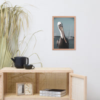 Bob The Pelican Bird 3R Colorized Wildlife Photo Framed Wall Art Prints