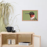 Close-up Ruby-throated Hummingbird Animal Wildlife Photograph Framed Wall Art Prints