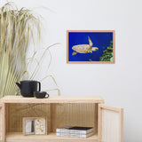 Sea Turtle 1 Animal Wildlife Photograph Framed Wall Art Prints