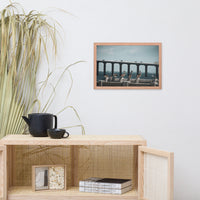 Skyway Bridge & Bob's Pelican Friends Wildlife Photo Framed Wall Art Prints