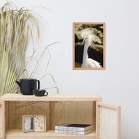 Snowy Egret Animal Wildlife Photograph Framed Wall Art Prints