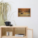 Big Brown Bear Crossing The Marshlands Wildlife Photo Framed Wall Art Prints
