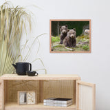 Baby Brown Bear Cubs In Forest Wildlife Photo Framed Wall Art Print