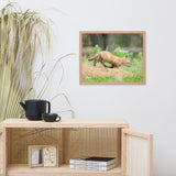 Baby Red Fox On The Move Animal Wildlife Photograph Framed Wall Art Prints