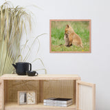 Baby Red Foxes Sibling Kisses Animal Wildlife Photograph Framed Wall Art Prints