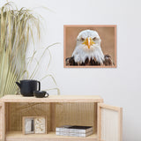 Bald Eagle Portrait Close-up 2 Wildlife Photograph Framed Wall Art Prints