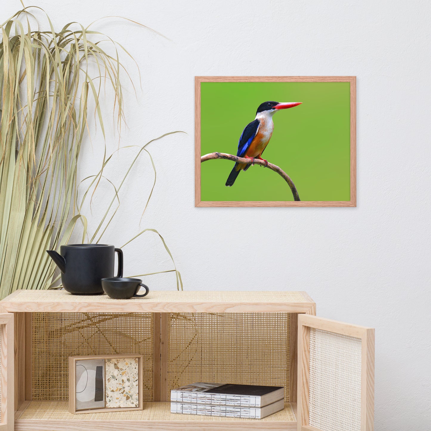 Black Capped Kingfisher Bird on Perch Animal Wildlife Photograph Framed Wall Art Prints