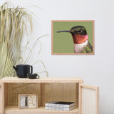 Close-up Ruby-throated Hummingbird Animal Wildlife Photograph Framed Wall Art Prints