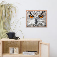 Close-up Yellow Owl Eyes Animal Wildlife Photograph Framed Wall Art Print