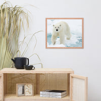 Giant White Polar Bear Walking On Icy Lake Animal Wildlife Photograph Framed Wall Art Prints