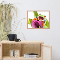Happy Red Eyed Tree Frog Sitting on Purple Tulip Flower Bloom Wildlife Nature Photo Framed Wall Art Print