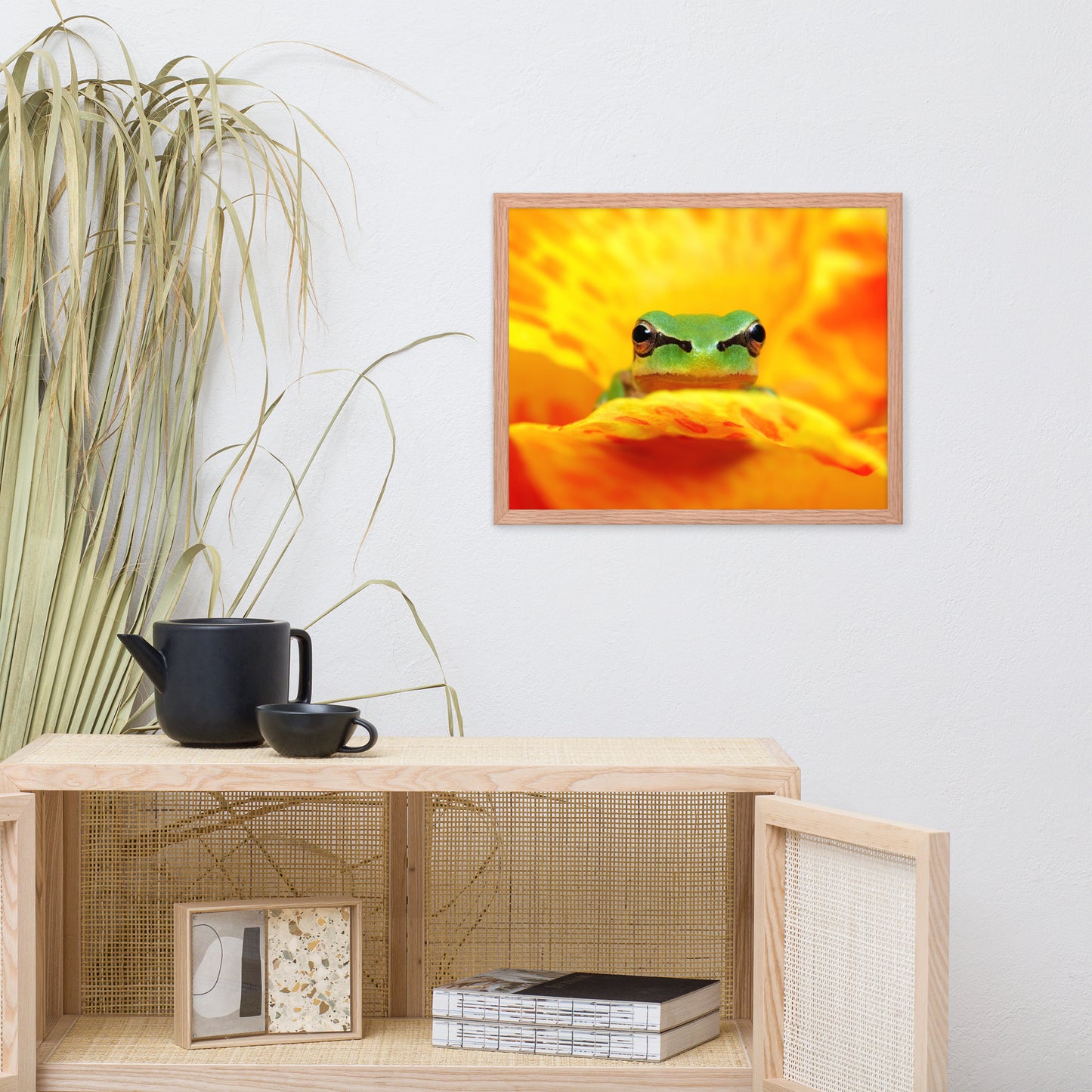 Hyla Green Frog on Yellow and Orange Flower Petals Wildlife Nature Photo Framed Wall Art Print