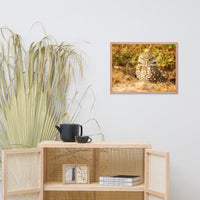 Burrowing Owl in Golden Light Wildlife Nature Photo Framed Wall Art Prints