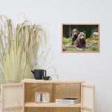 Baby Brown Bear Cubs In Forest Wildlife Photo Framed Wall Art Print