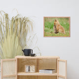 Baby Red Foxes Sibling Kisses Animal Wildlife Photograph Framed Wall Art Prints