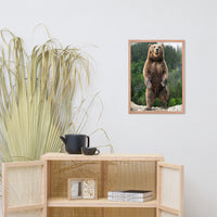 Big Standing Brown Bear On Mountain Top Animal Wildlife Photograph Framed Wall Art Prints