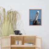 Bob The Pelican Bird 3 Color Wildlife Photo Framed Wall Art Prints