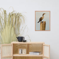 Double Crested Cormorant Animal Wildlife Photograph Framed Wall Art Prints