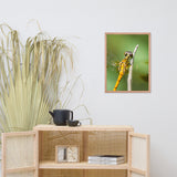 Dragonfly at Bombay Hook Animal Wildlife Photograph Framed Wall Art Prints