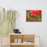 Hummingbirds with Reddish-Orange Flowers Animal Wildlife Photograph Framed Wall Art Prints