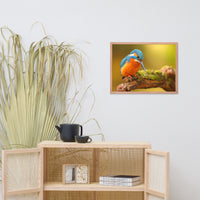 Kingfisher Bird on Perch 2 Animal Wildlife Photo Framed Wall Art Prints