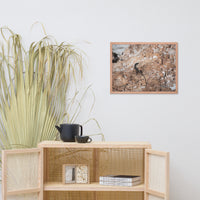 Lizard Rock Colorized Wildlife Photograph Framed Wall Art Prints