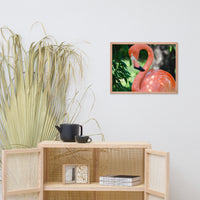 Pinky the Pink Flamingo Animal Wildlife Photograph Framed Wall Art Prints