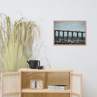 Skyway Bridge & Bob's Pelican Friends Wildlife Photo Framed Wall Art Prints
